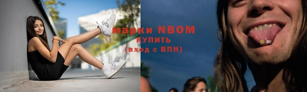 сатива Михайловск